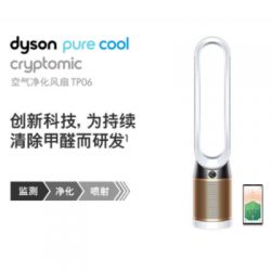 Dyson戴森TP06空气净化器风扇 凉风净化家用整屋卧室循环清除甲醛